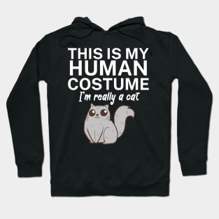 This is my human costume. I'm really a cat. Hoodie